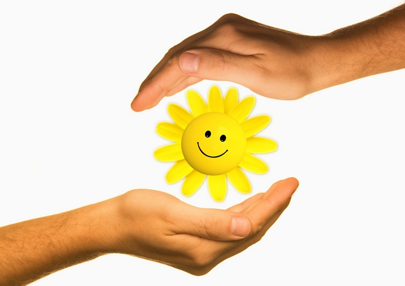 1314-on15-energy-hand-sun-800-h